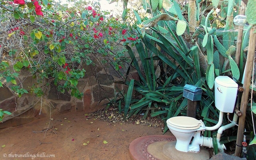 Camp Itumela is a small campsite in Botswana close to the border of South Africa. Their toilet is a little gem, hidden between the cactus plants and red flowers, exposed to the open air. It gives a whole different meaning to going to the toilet #localgem