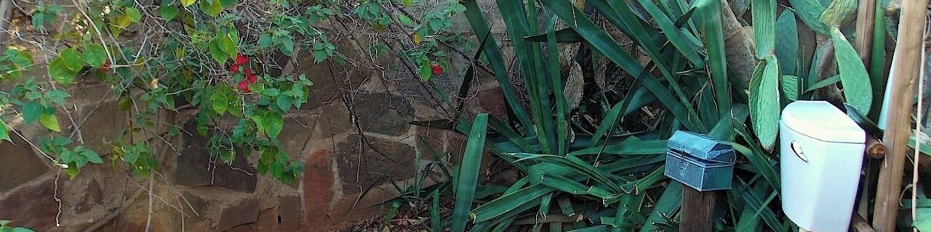 Camp Itumela is a small campsite in Botswana close to the border of South Africa. Their toilet is a little gem, hidden between the cactus plants and red flowers, exposed to the open air. It gives a whole different meaning to going to the toilet #localgem