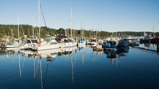 Boats, Salt Spring Island, British Columbia, Canada; Shutterstock ID 581514949; Purchase Order: -