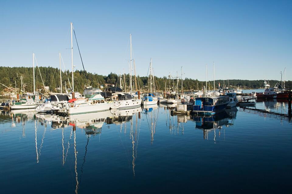 A marina with various boats docked, calm water, and a forested shoreline in the background.