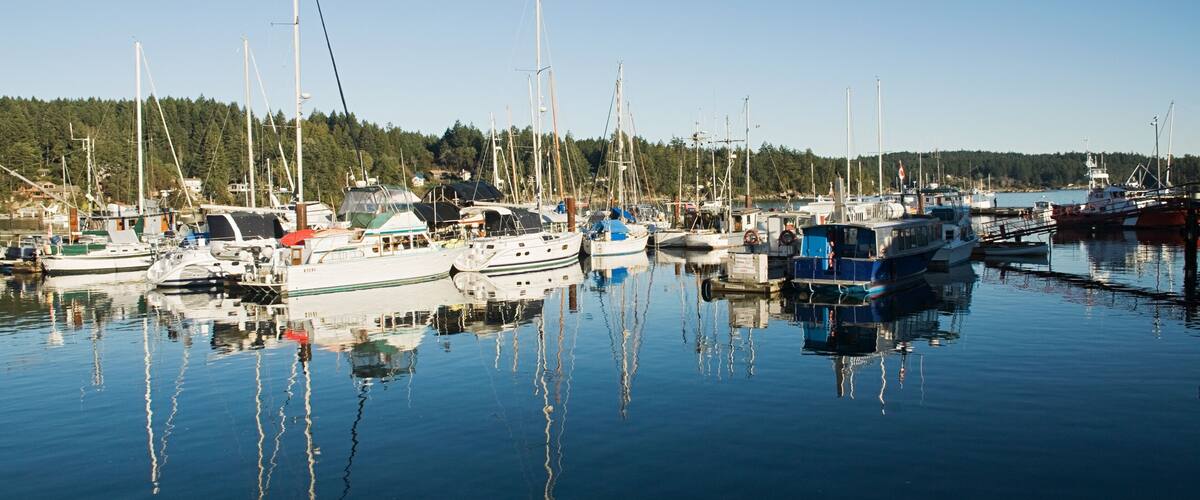 A marina with various boats docked, calm water, and a forested shoreline in the background.