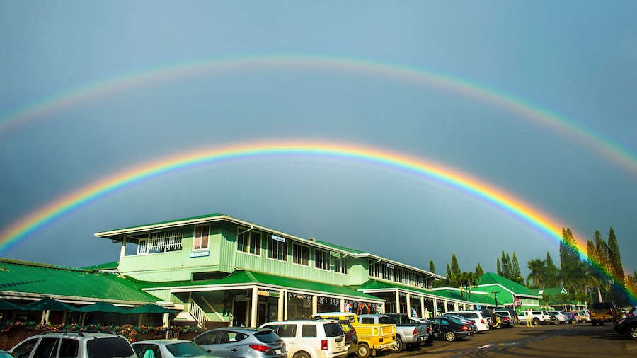 Princeville Center (centre commercial et habitations)