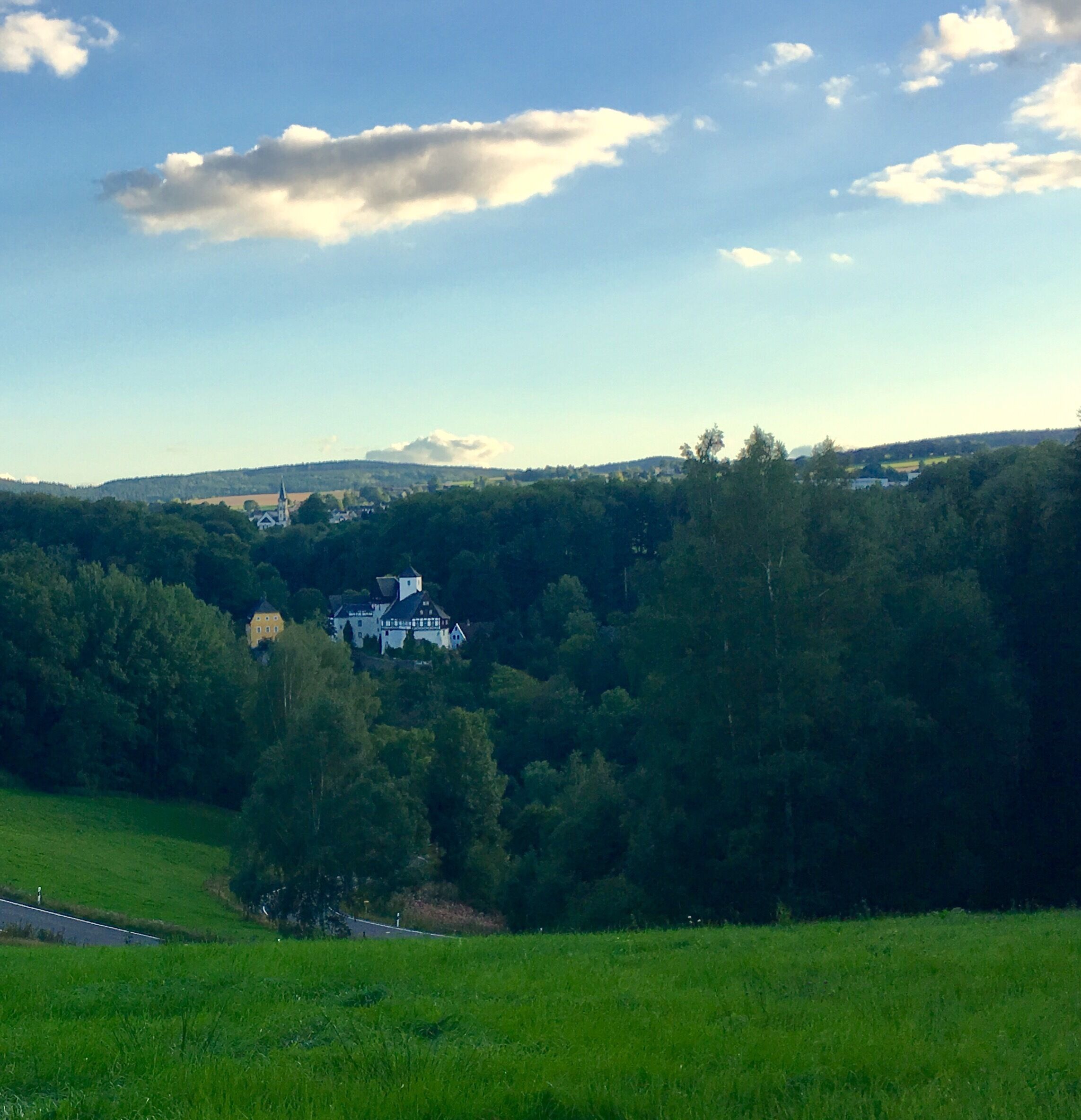 A lush green landscape with a large white building surrounded by dense trees.