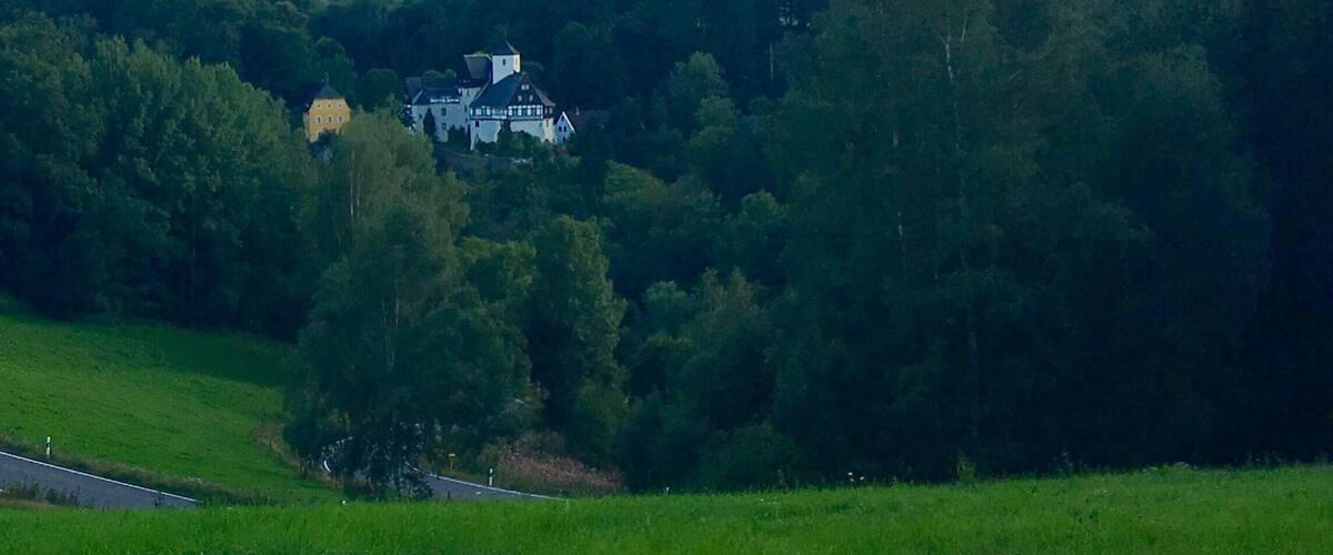 A lush green landscape with a large white building surrounded by dense trees.
