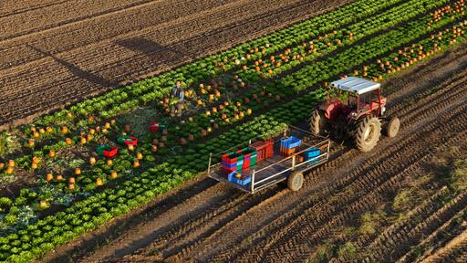 Saint-Pierre-la-Garenne