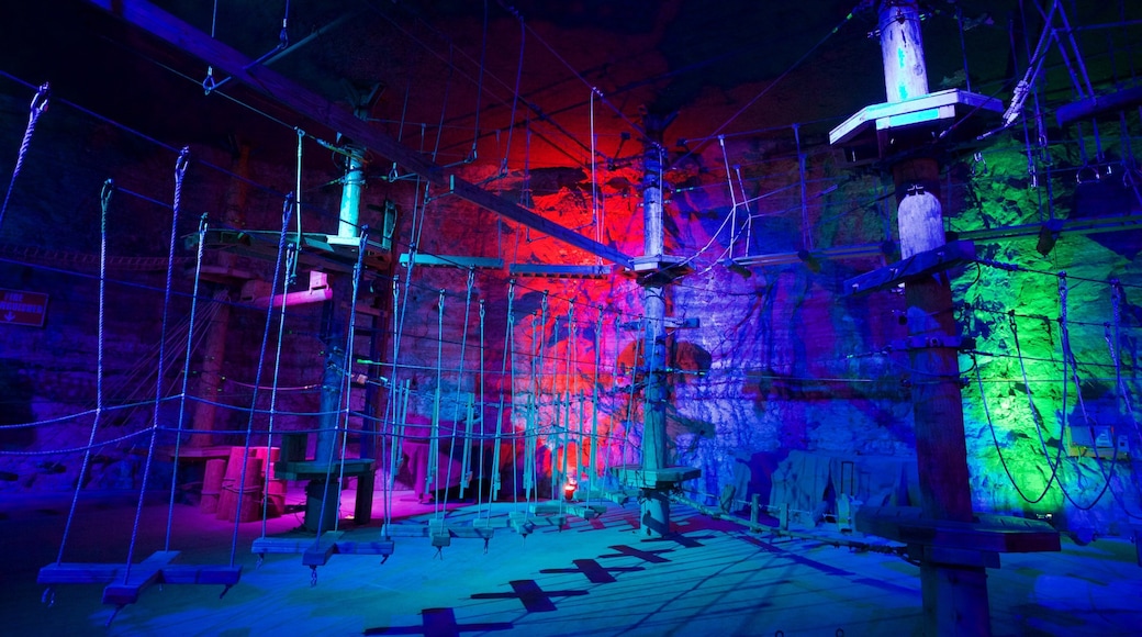 Louisville Mega Cavern som visar grottor