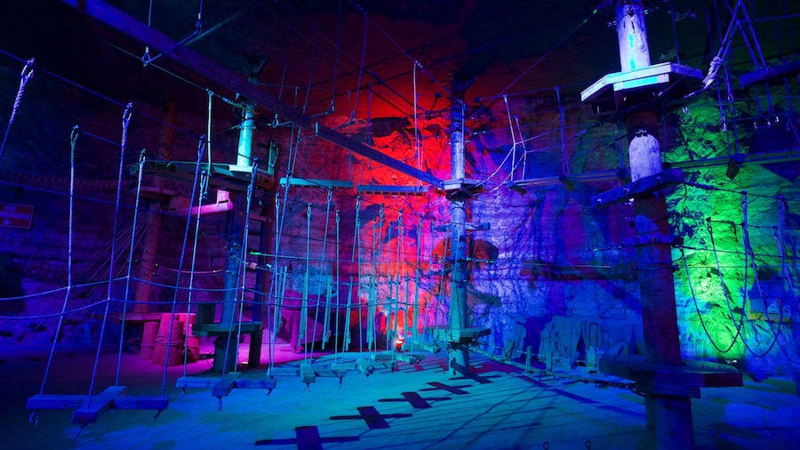 Louisville Mega Cavern