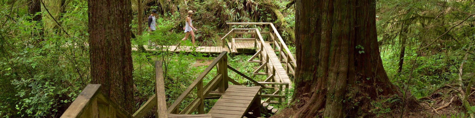 Schooner Cove Trailhead which includes forests and a bridge