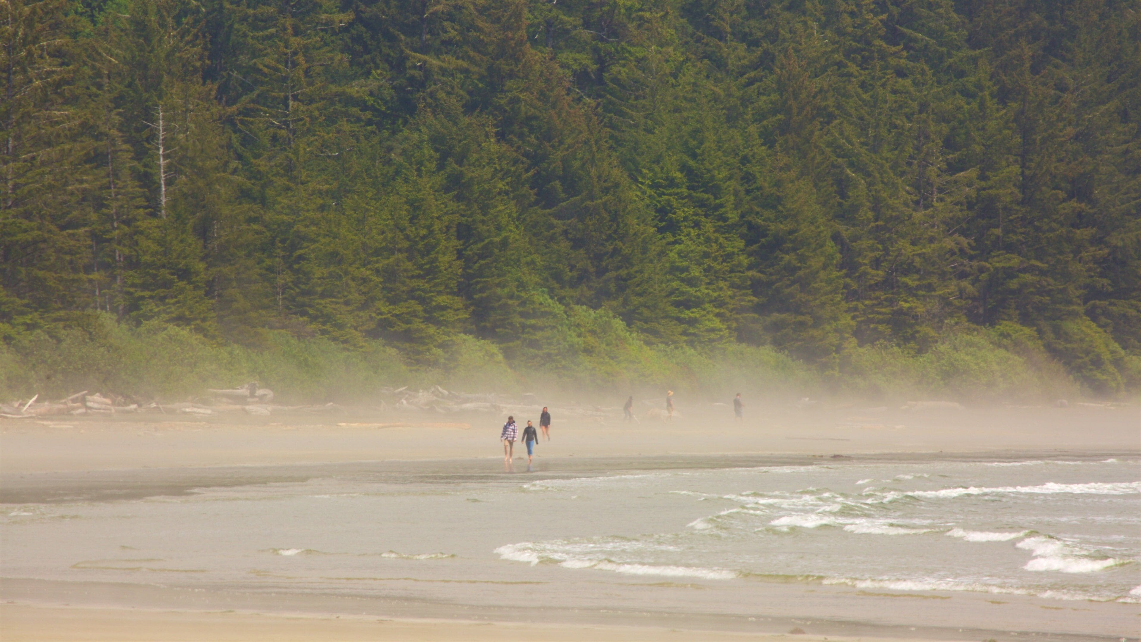 Schooner Cove Trailhead featuring a beach and general coastal views