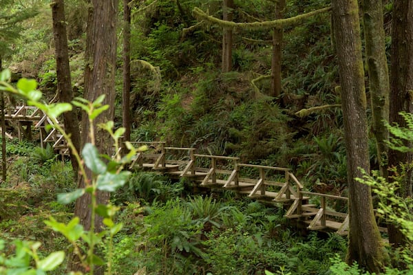 Schooner Cove Trailhead featuring a bridge and forests