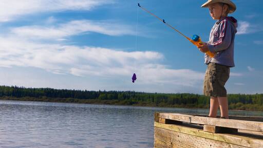 A Boy Fishing Off A Dock; Lake Wabamun, Alberta, Canada