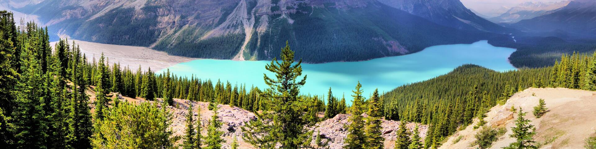Panoramic view of Peyto Lake, Banff, Canada