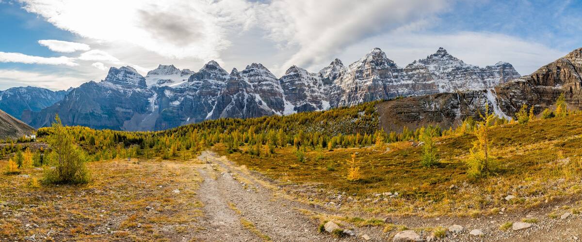A mountain landscape with a dirt path, snow-capped peaks, and a forested valley.
