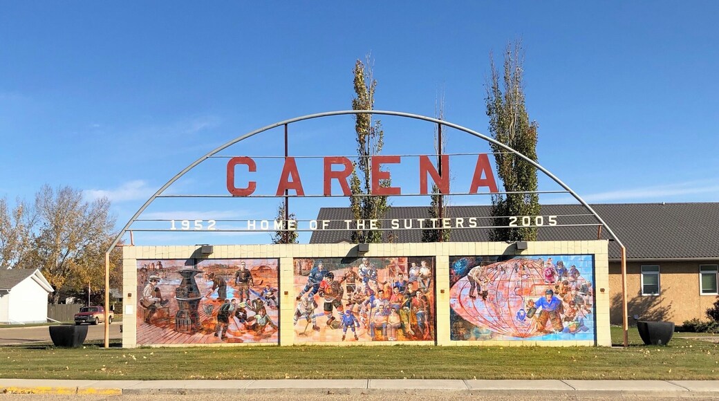 The Sutter family, originally from Viking, Alberta, Canada, is one of the most famous families in the National Hockey League (NHL). (October 2019)
#LocalSecrets #MyBackyard