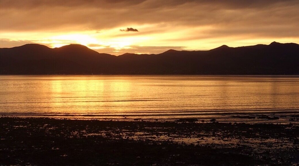 Some incredible sunrise in Motueka, one of my favorite picture from New Zealand !
#Golden