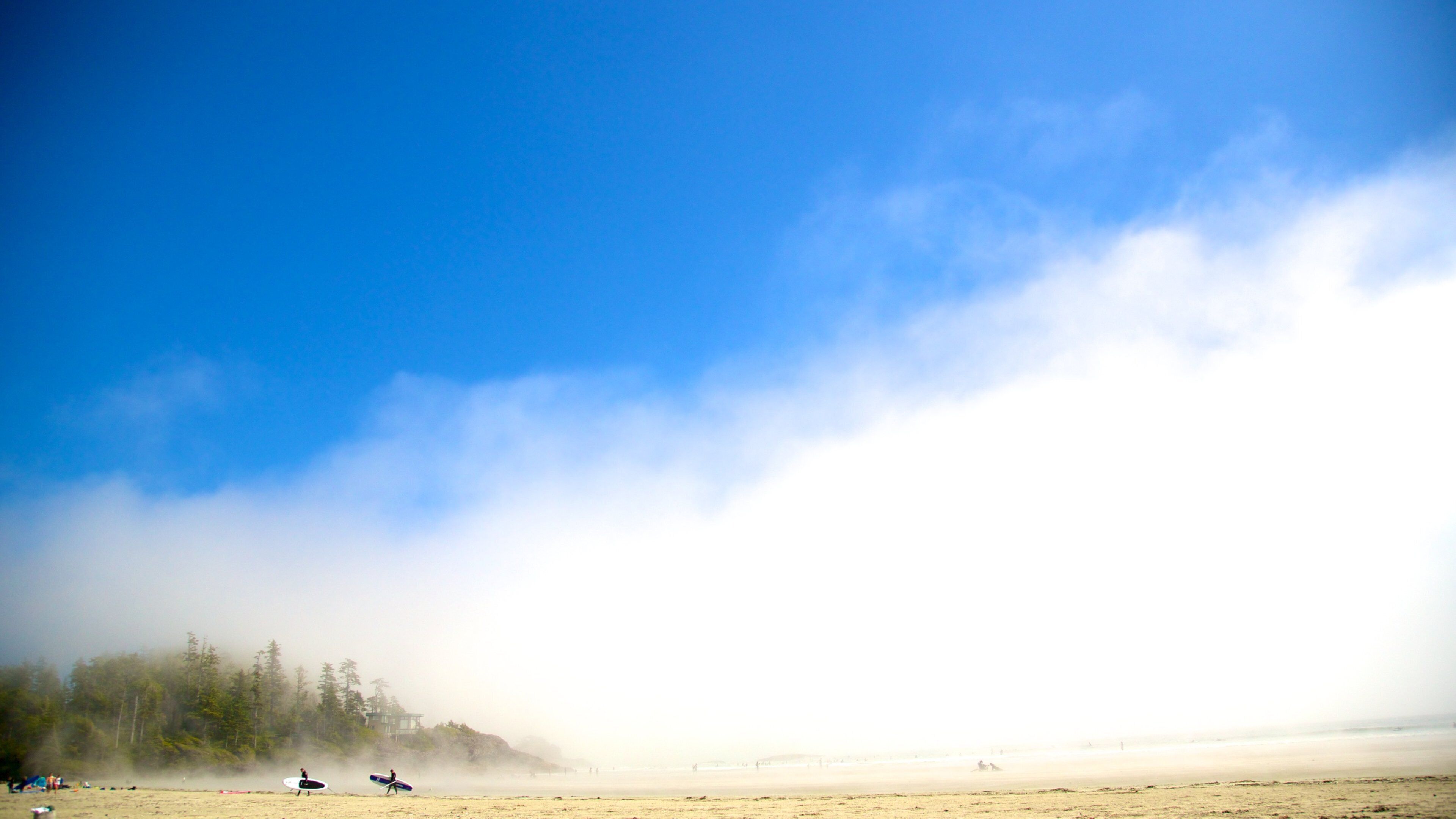 Mackenzie Beach showing a sandy beach and mist or fog