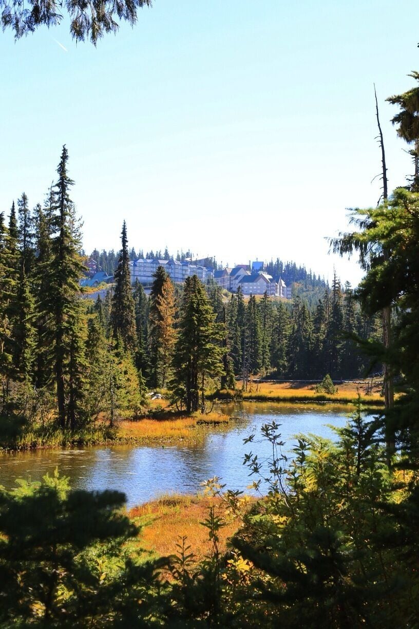 What an awesome place to be in Fall, gorgeous trails as long or as short as you want with stunning scenery. Highly recommend this for any level of hiking.
