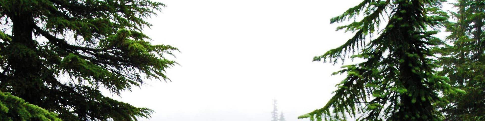 Randonnée de la plaine oubliée.