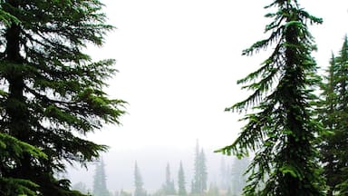 Randonnée de la plaine oubliée.