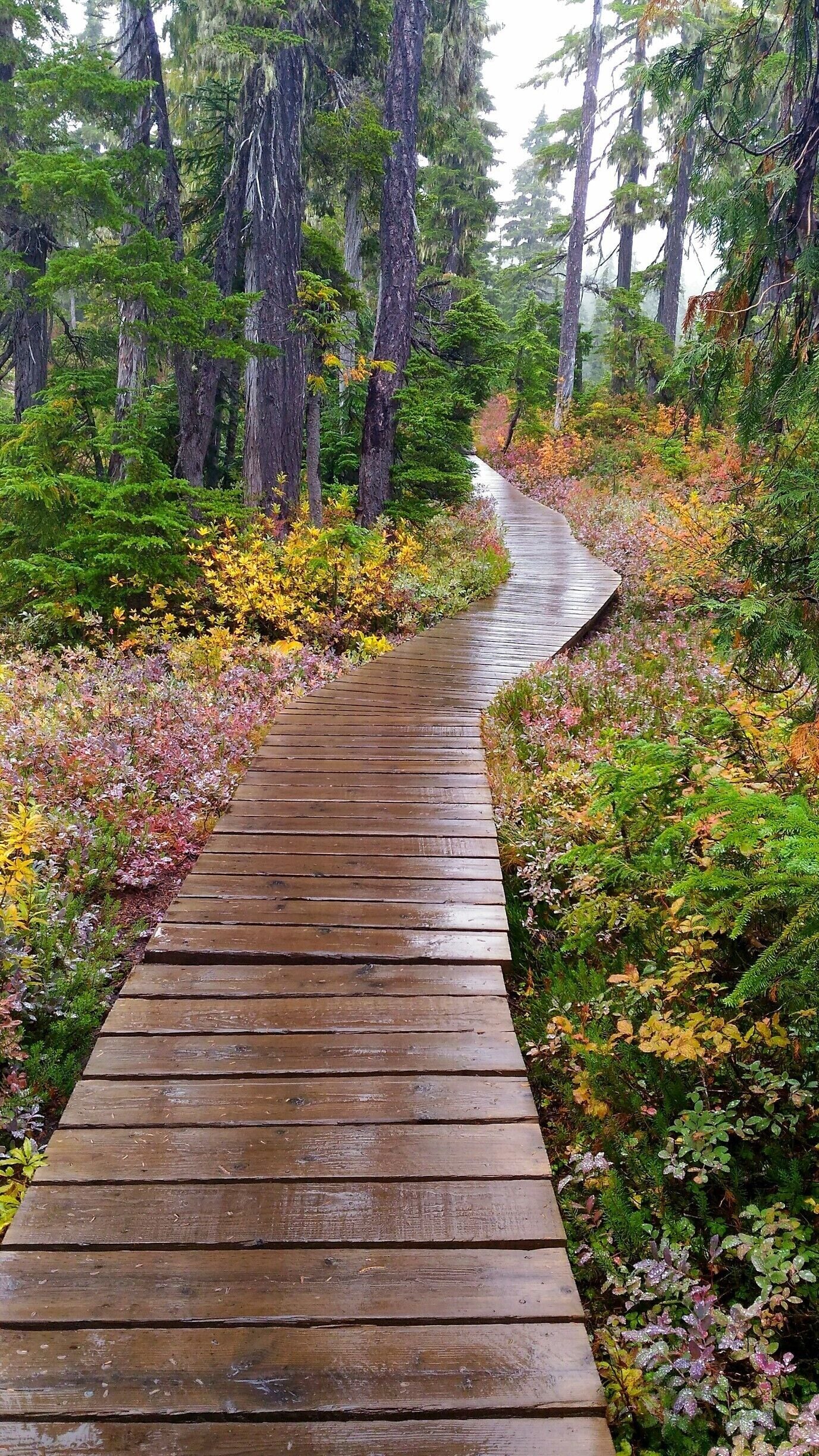 Randonnée de la plaine oubliée