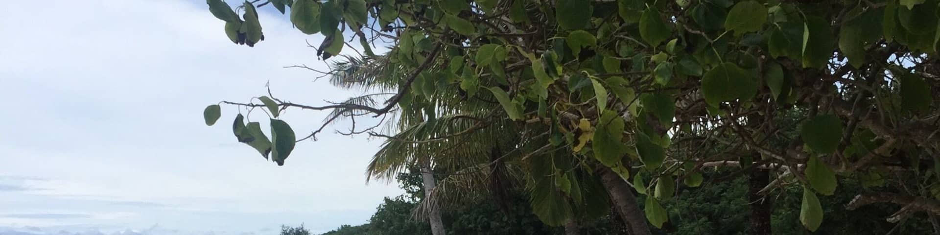 I found this peaceful beautiful beach down south near Naval Base.