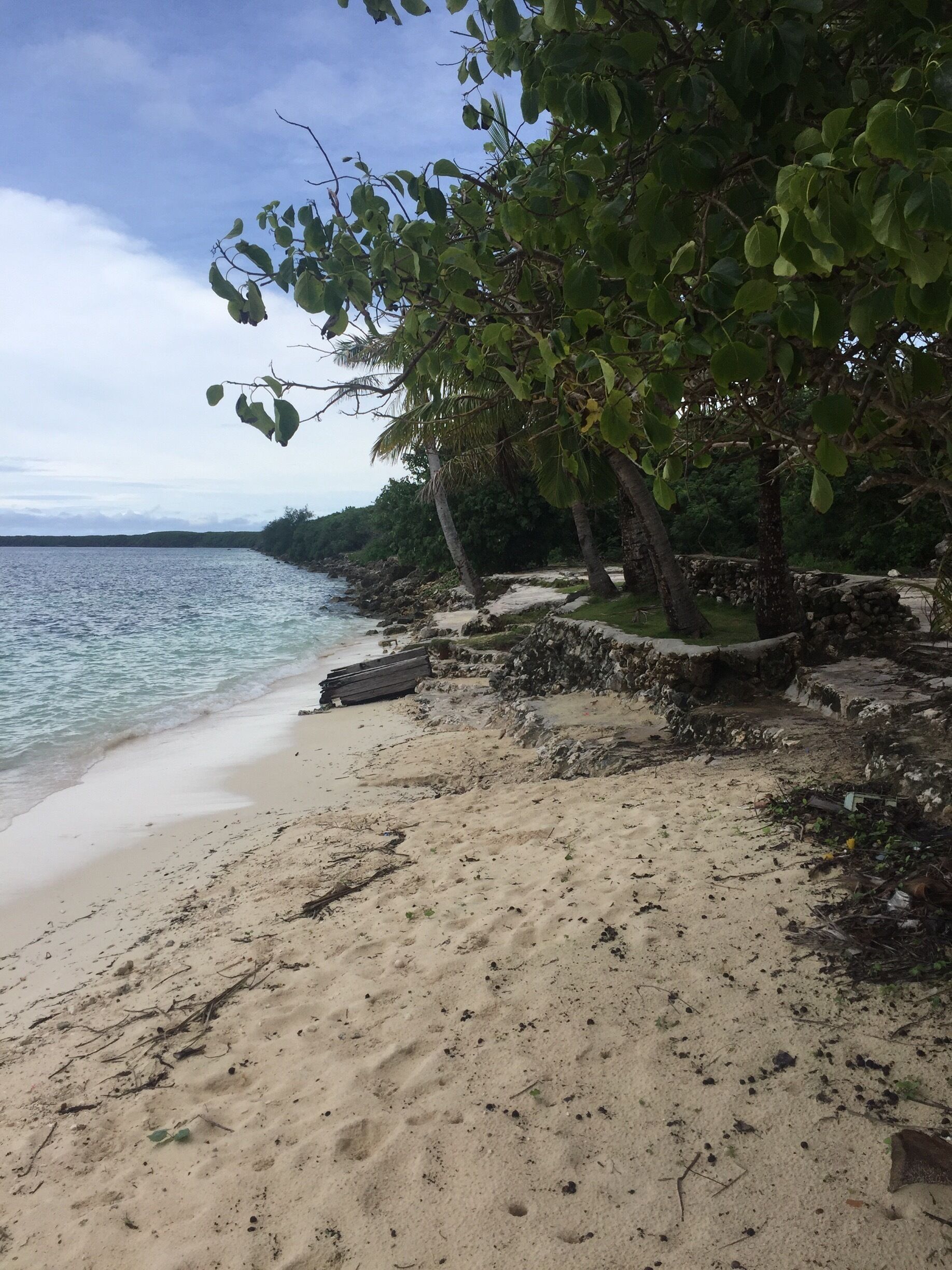 A beach with clear water, sandy shore, and trees.