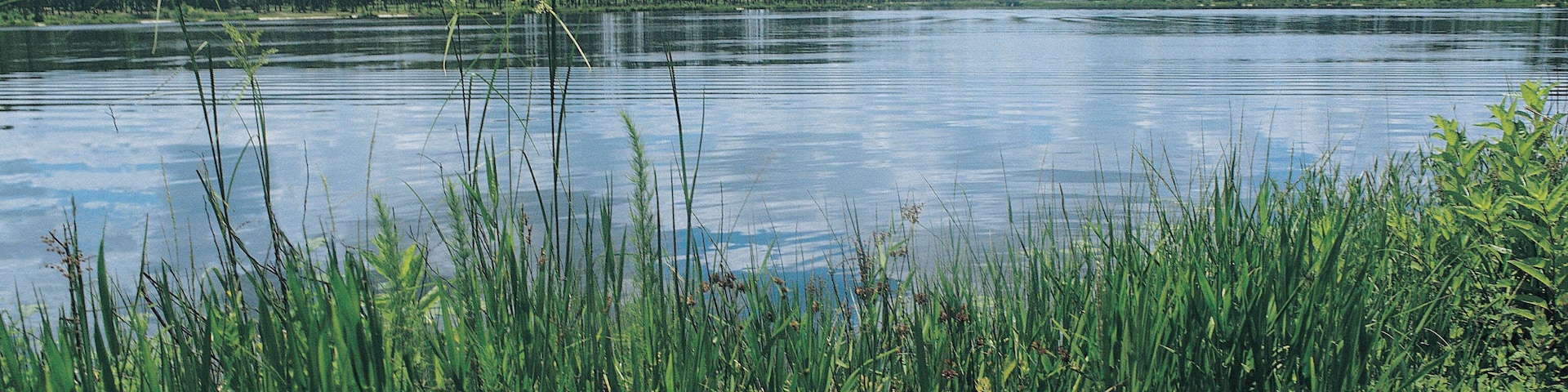 Lake in Laura S Walker State Park, Georgia, USA