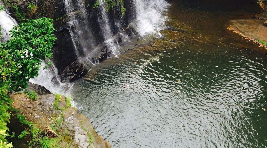 Talofofo waterfalls. It's a steep going down here riding thru a cable car. But the views are all worth it why this is one of the hidden gems in Guam.