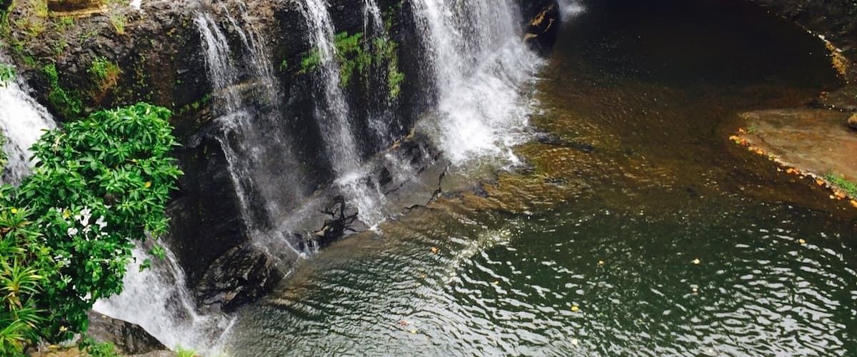 A waterfall cascading over a rocky ledge into a river surrounded by lush greenery.
