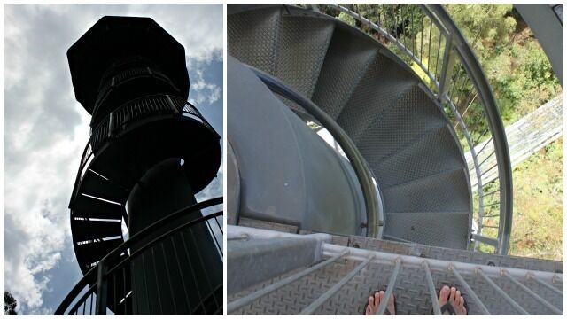 The canopy walkway  is 1500 metre walk through beautiful warm temperate rainforest about 20-30 metres above the forest floor. Make sure you climb up the 45 meter high spiralling tower for a little thrill and higher views.