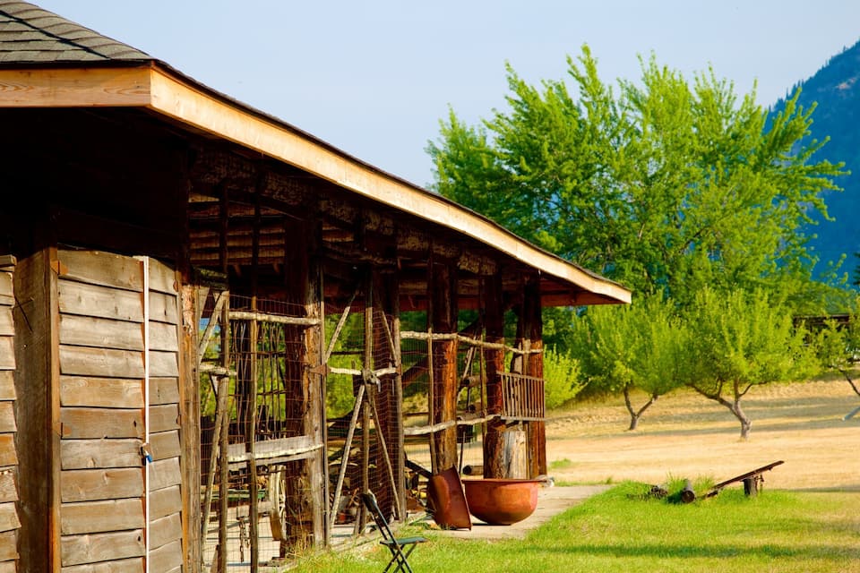 A rustic wooden cabin with a metal roof, surrounded by lush green trees and a clear blue sky.