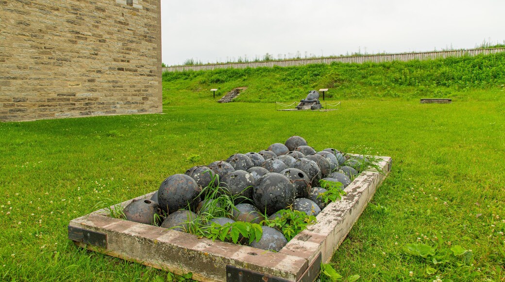 Fort Wellington National Historic Site featuring heritage elements and military items