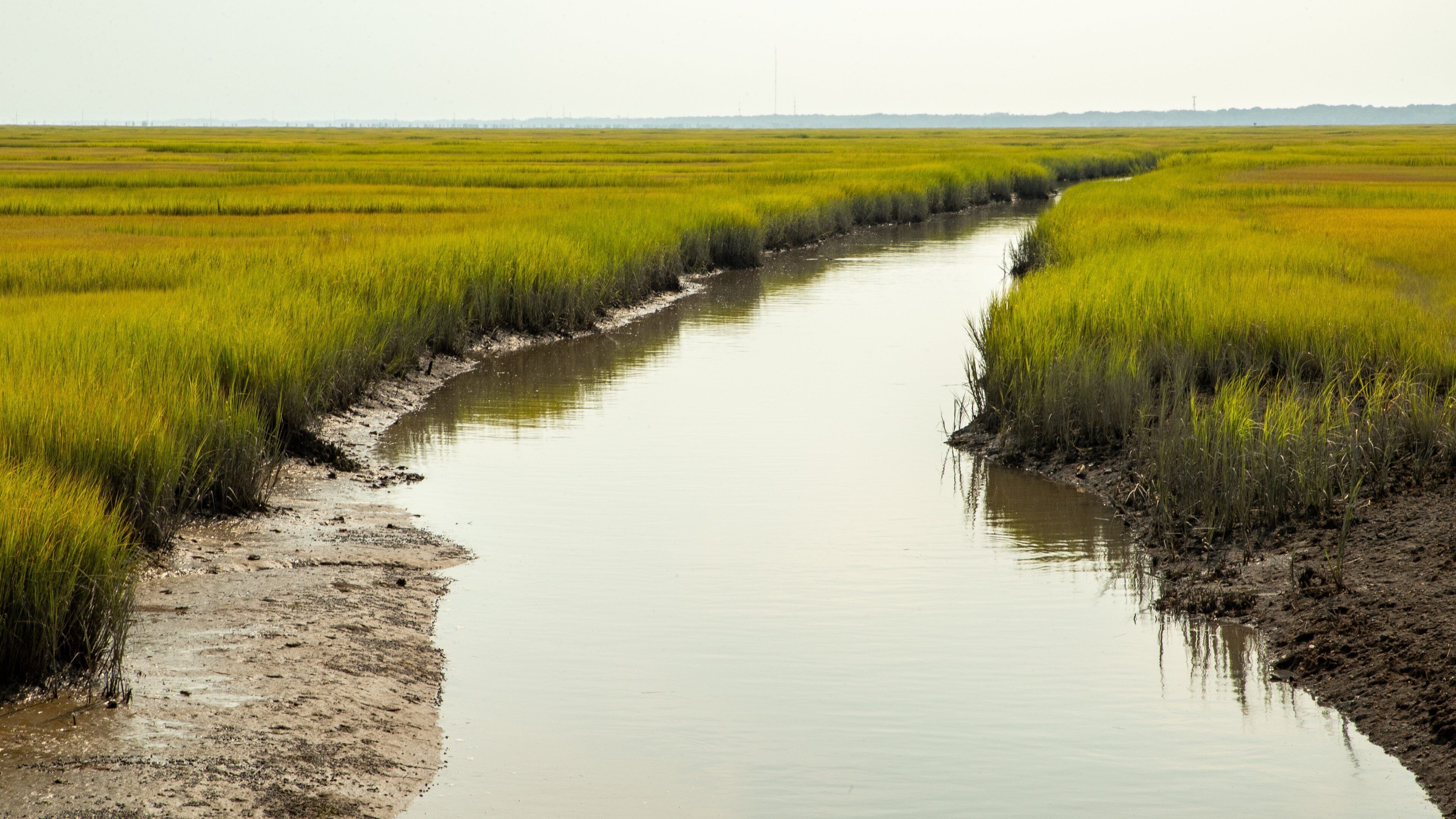 Sea Isle City which includes wetlands