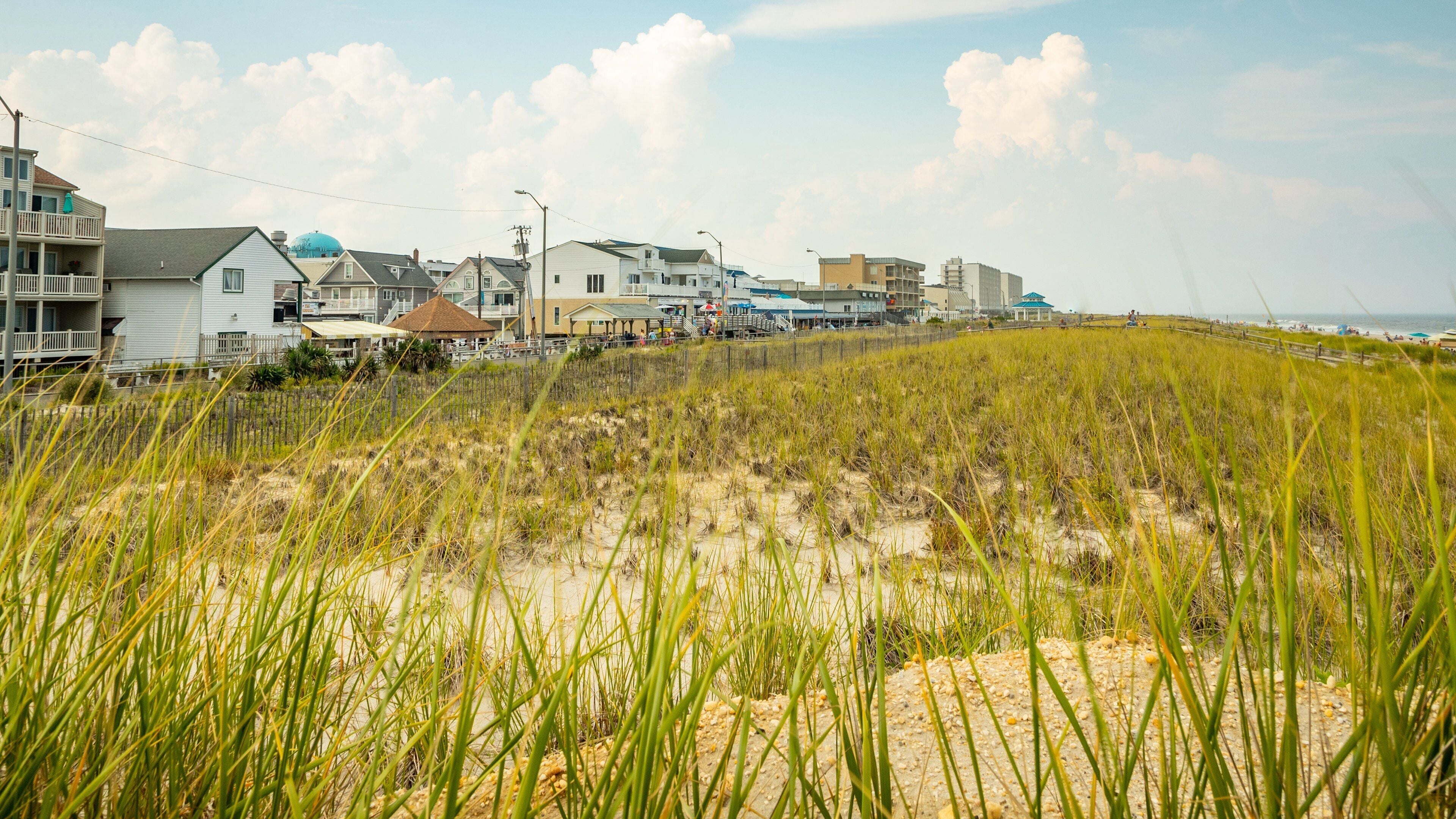 A coastal town with houses, a beach, and dunes.