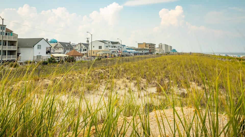 A coastal town with houses, a beach, and dunes.