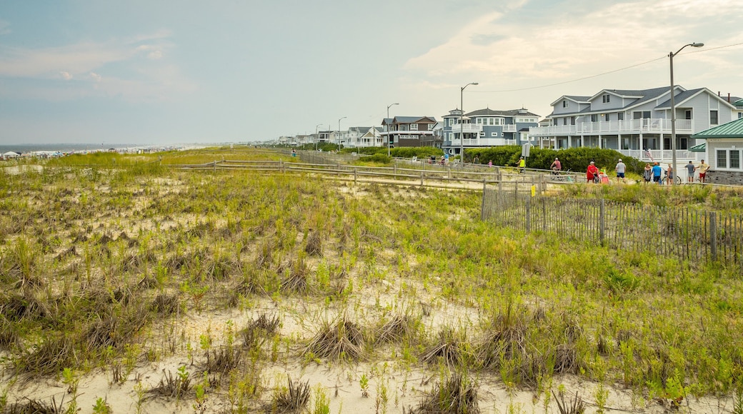 Sea Isle City which includes a coastal town