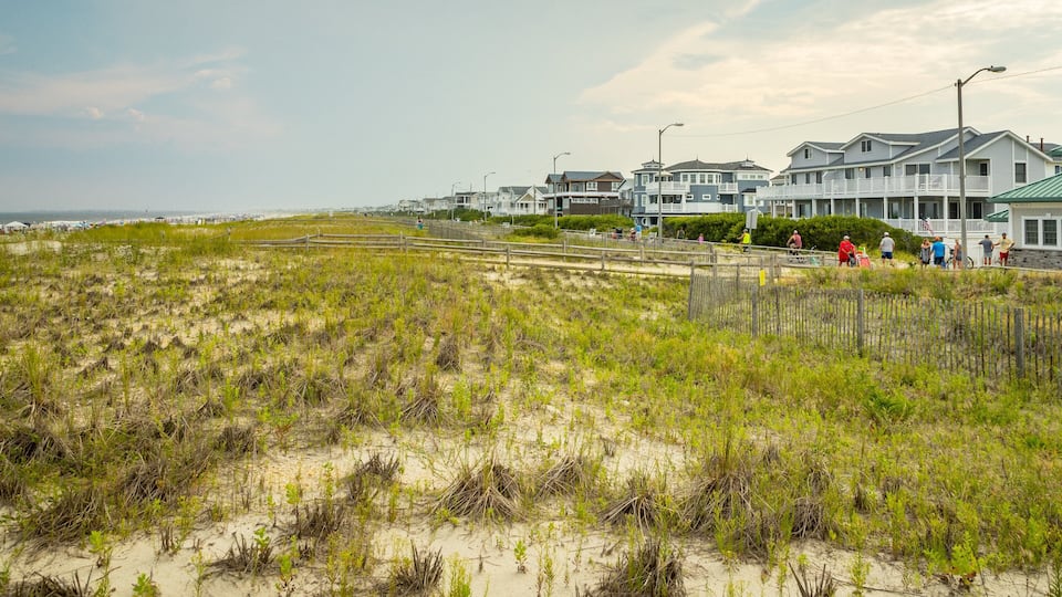 A coastal area with sand dunes, beach, and beachfront houses.