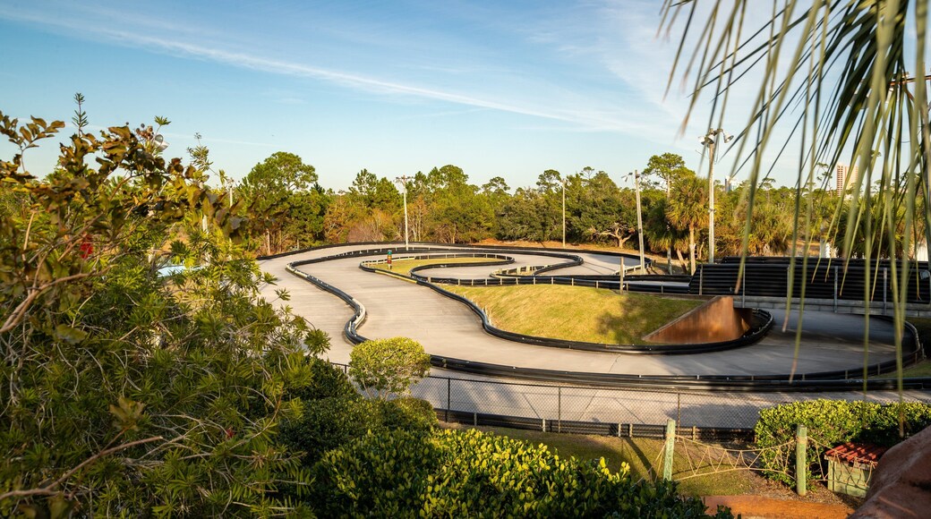 Adventure Island which includes a park