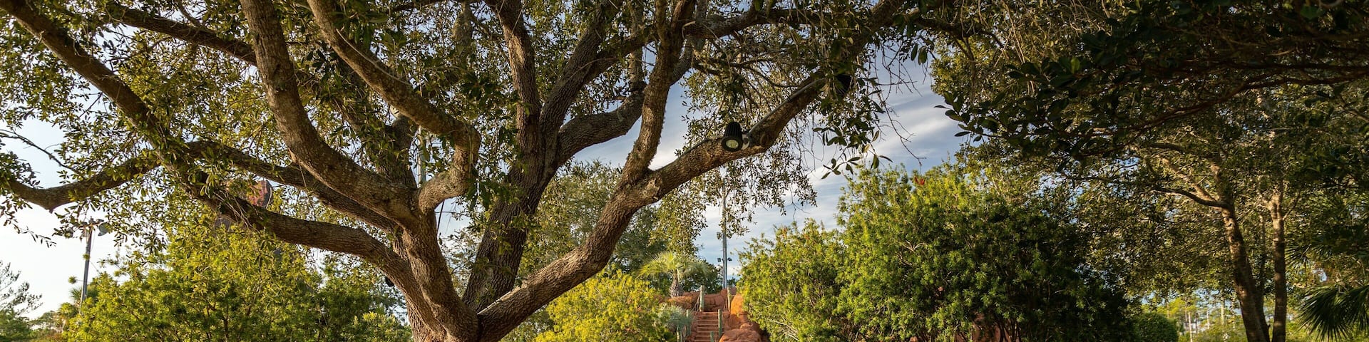 Adventure Island showing golf