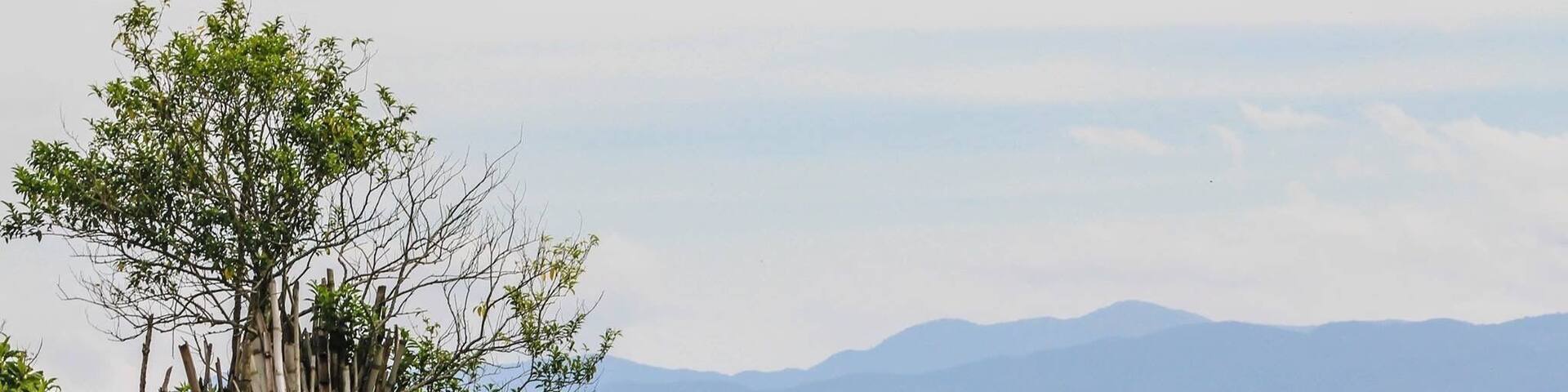This is one of best features of the trails in Marinilla, you see #LaPiedradelPeñol in the background! Amazing view #Colombia #nature
#greatoutdoors