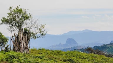 This is one of best features of the trails in Marinilla, you see #LaPiedradelPeñol in the background! Amazing view #Colombia #nature
#greatoutdoors