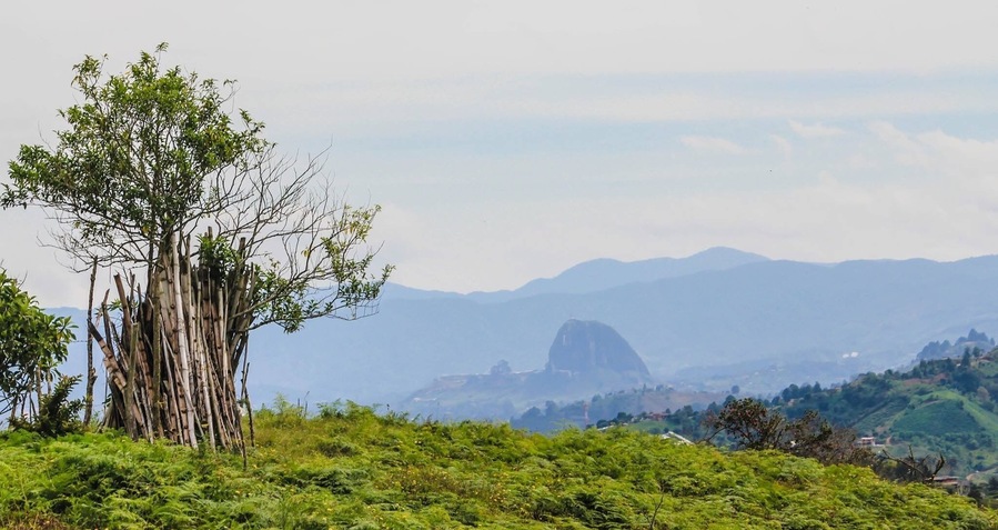 This is one of best features of the trails in Marinilla, you see #LaPiedradelPeñol in the background! Amazing view #Colombia #nature
#greatoutdoors
