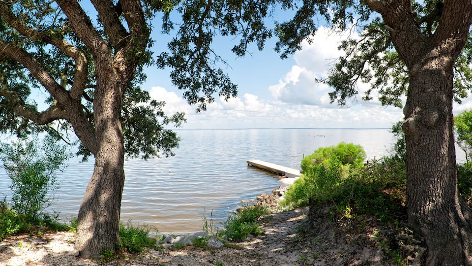A lakeside scene with trees, a dock, and a calm water body.
