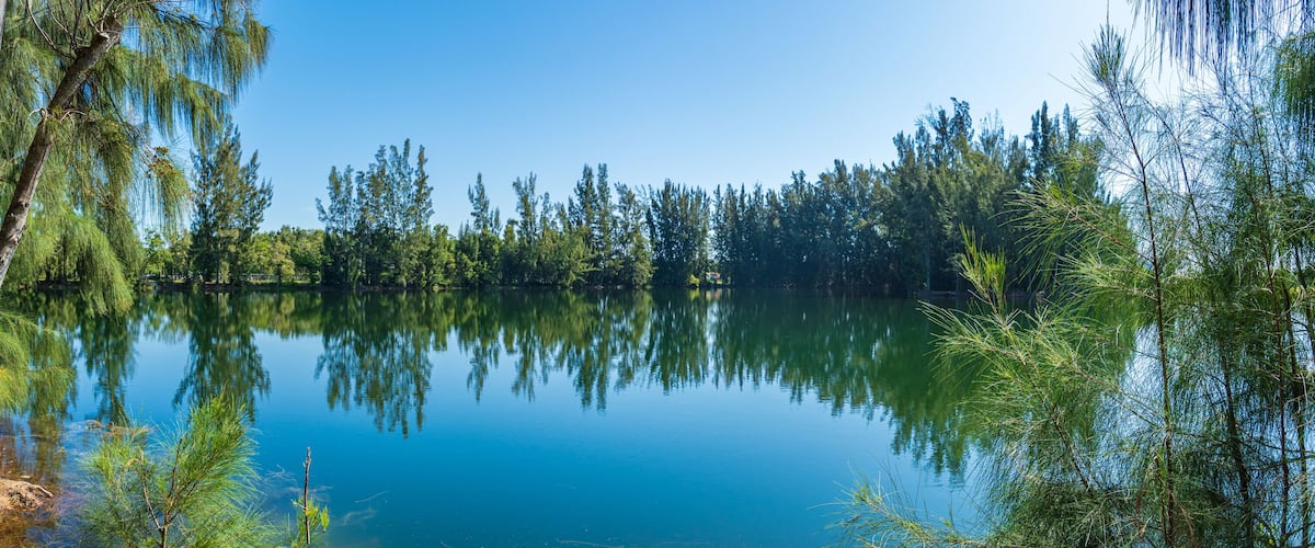 A calm lake surrounded by dense trees.