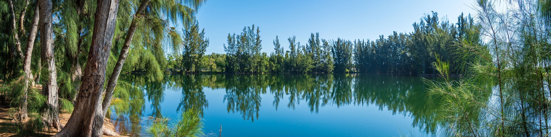 A calm lake surrounded by dense trees.