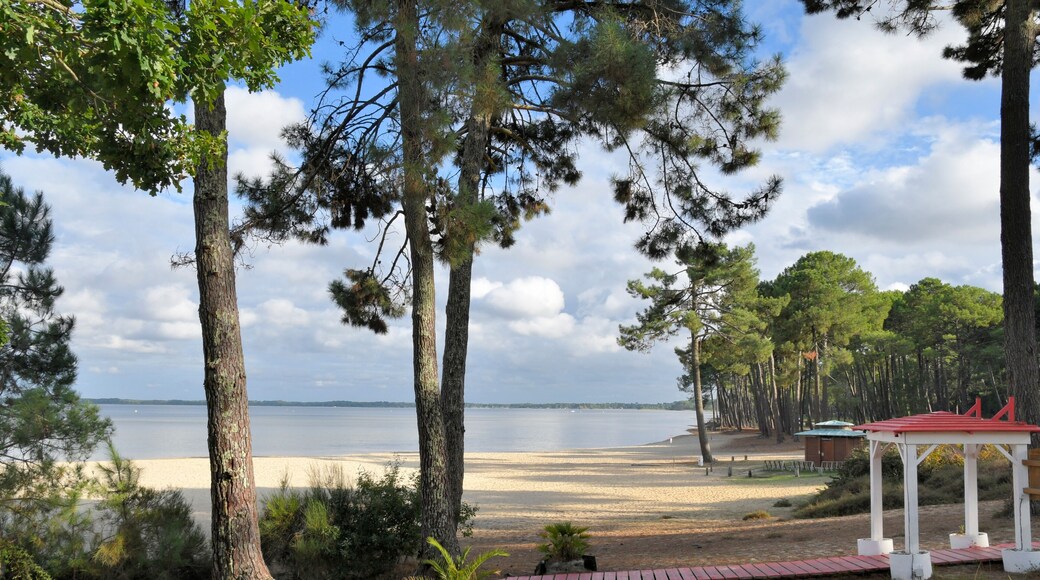 beautiful view on the lake of Cazaux in Gironde - France
