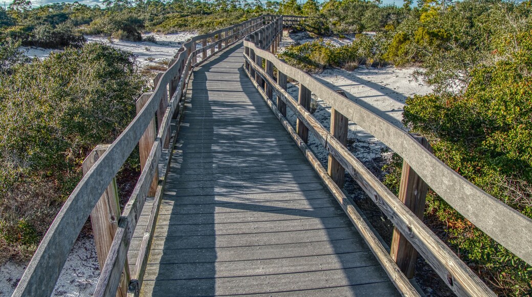 The Gulf Islands National Seashore is located in Florida and Mississippi