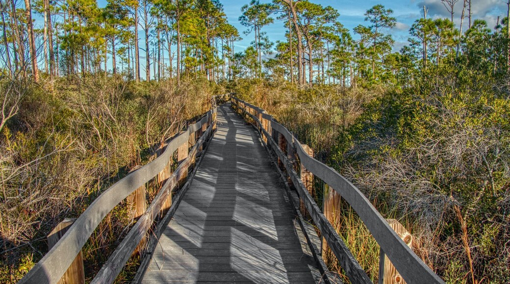 The Gulf Islands National Seashore is located in Florida and Mississippi