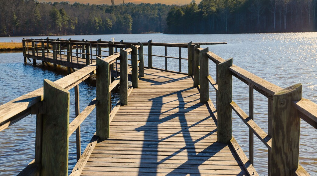a long gray wooden bridge on the vast blue lake water of Lake McIntosh with stunning skies and lush green and autumn colored trees on the banks of the lake at Lake McIntosh in Peachtree City Georgia