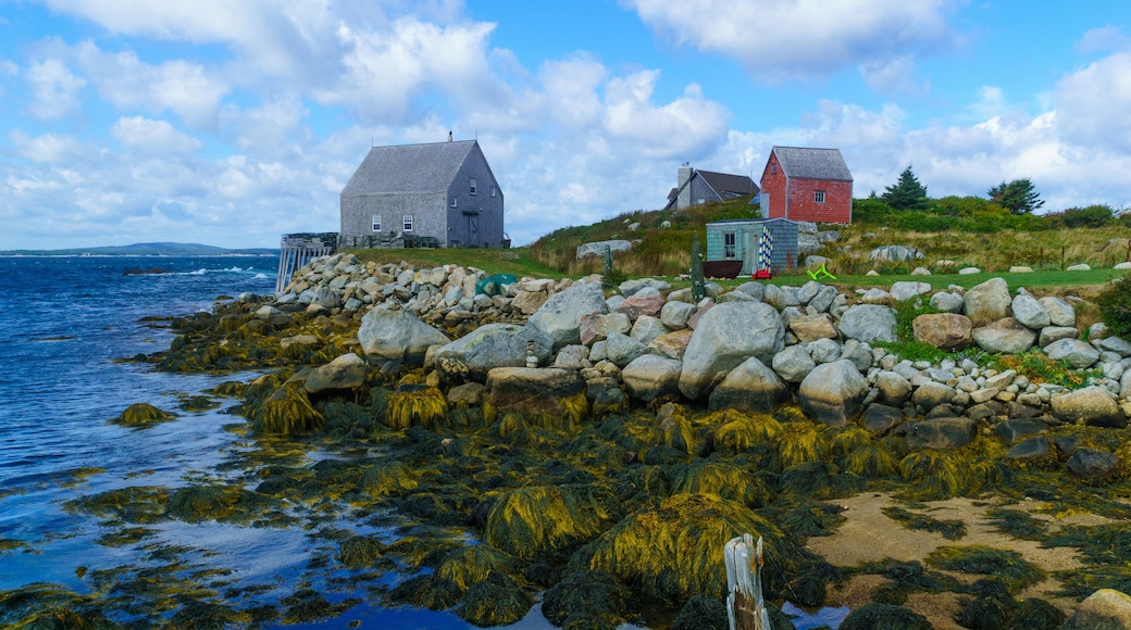 A coastal landscape with a rocky shoreline, a lighthouse, and two houses.